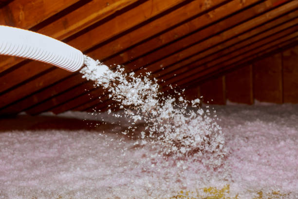 Best Specialty Insulation in Roscommon, MI
