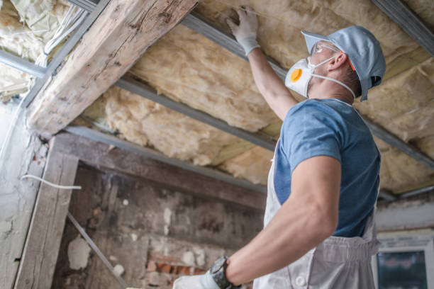Best Insulation Maintenance and Repair in Roscommon, MI