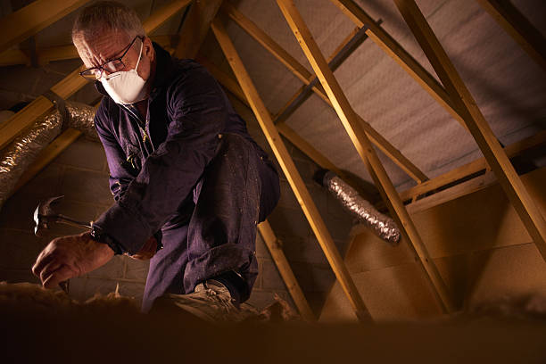 Best Insulation Installation Services in Roscommon, MI