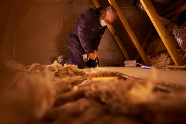 Best Types of Insulation in Roscommon, MI